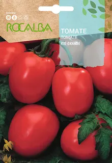 Semila Tomate Rio Grande