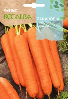 Semilla Zanahoria Amsterdam 2