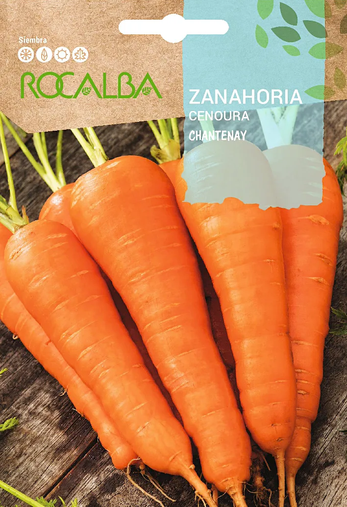 Semilla Zanahoria Chantenay