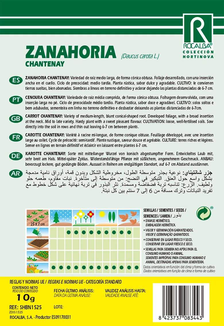 Semilla Zanahoria Chantenay — foto 2