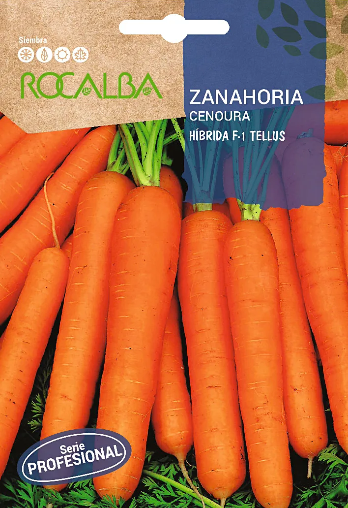Semilla Profesional Zanahoria Hibrida F1 Tellus