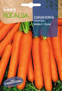 Semilla Profesional Zanahoria Hibrida F1 Tellus