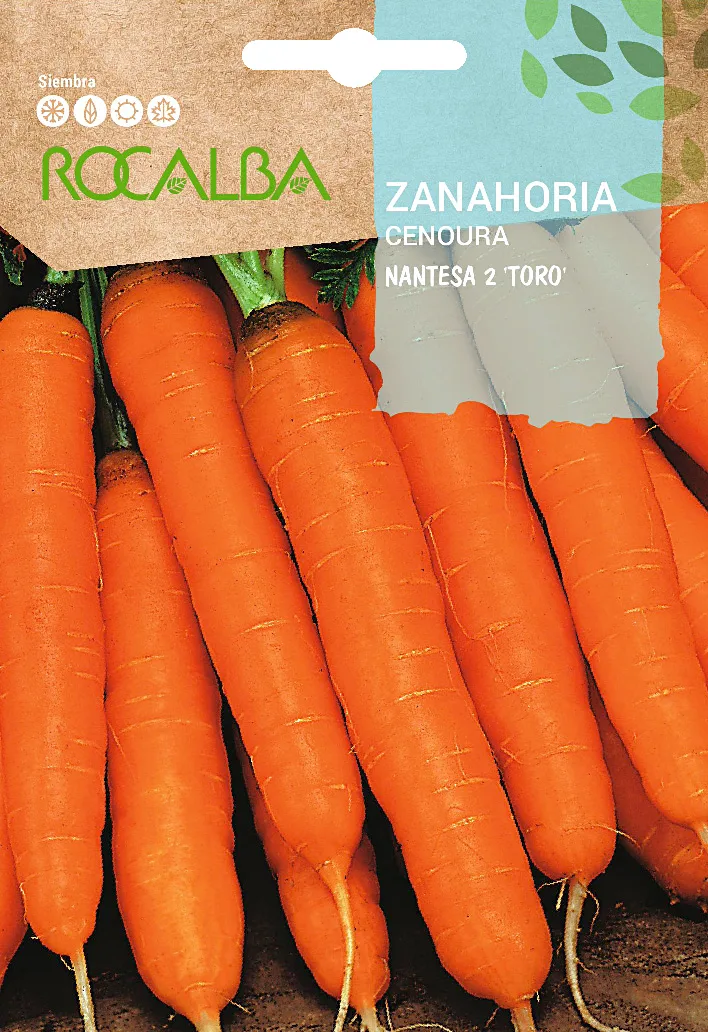 Semilla Zanahoria Nantesa 2 "Toro"