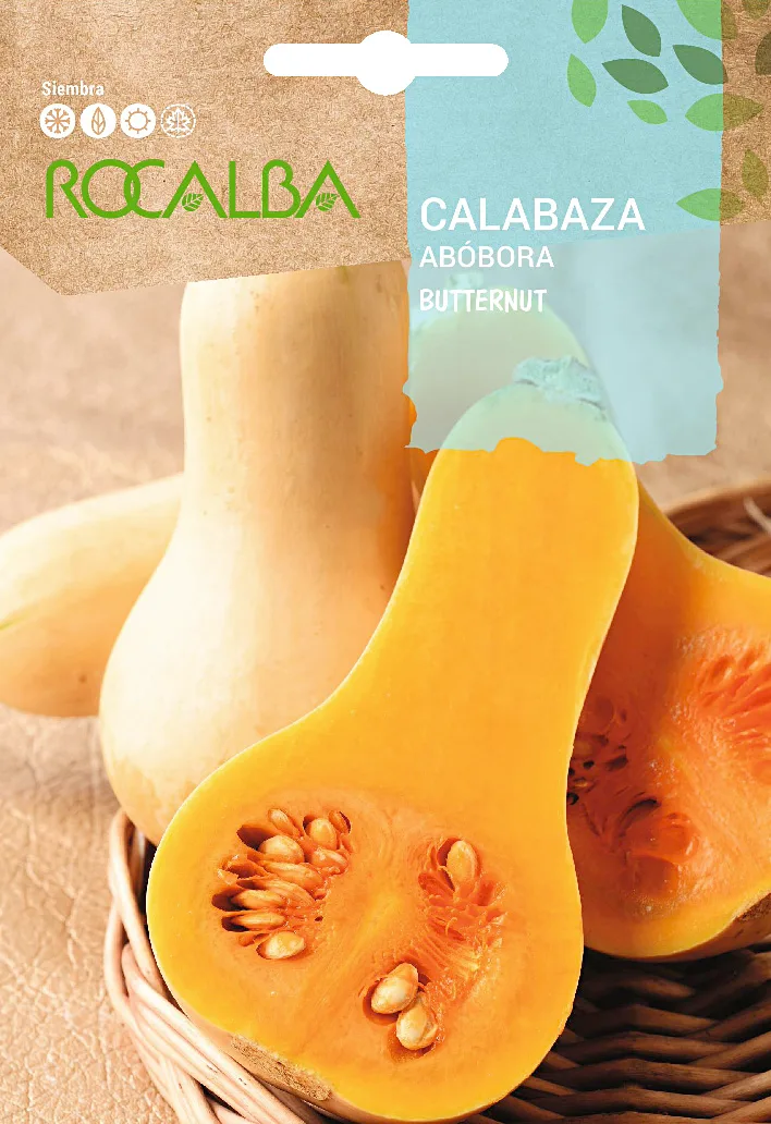 Semilla Calabaza Butternut Waltham