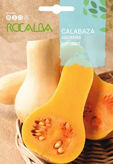 Semilla Calabaza Butternut Waltham