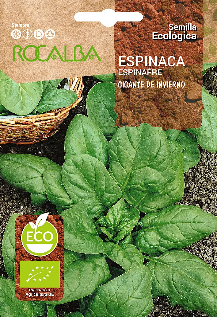 Semilla Ecologica Espinaca Gigante de Invierno