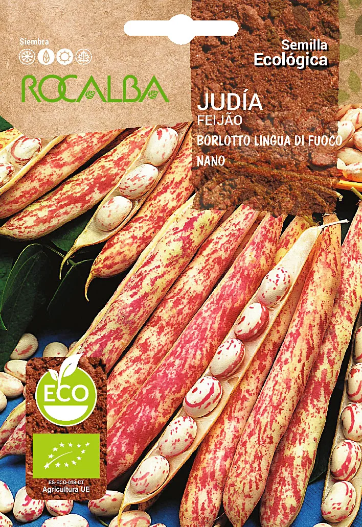Semilla Ecologica Judia Borlotto Lengua de Fuego Enana — foto principal
