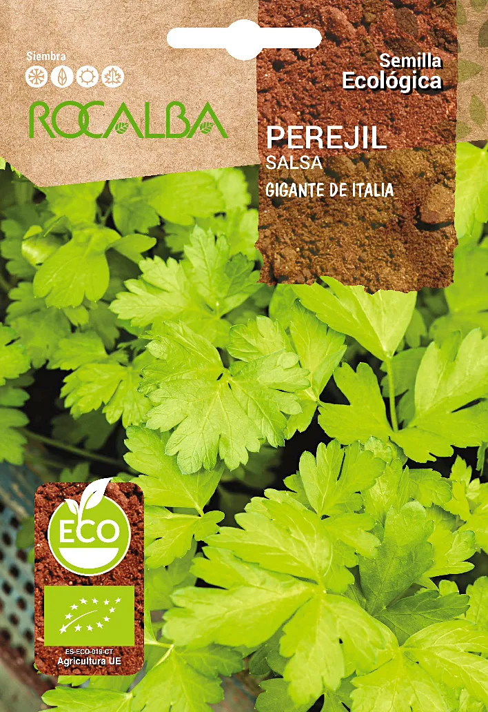 Semilla Ecologica Perejil Gigante de Italia — foto principal