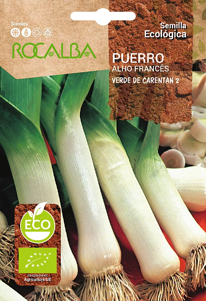 Semilla Ecologica Puerro de Carentan 2