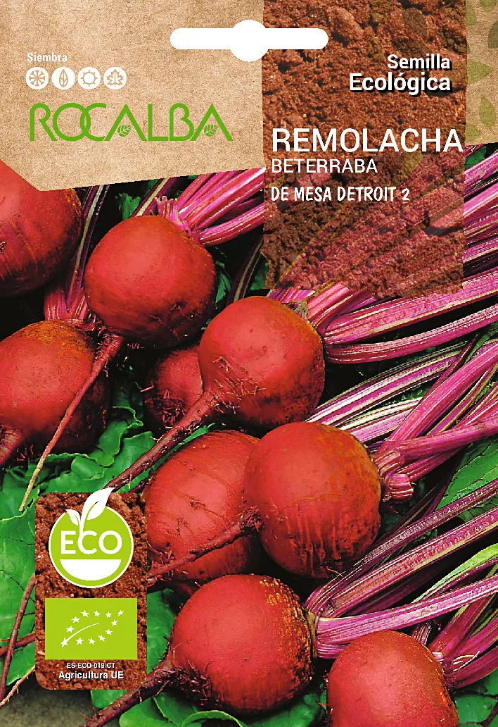 Semilla Ecologica Remolacha de Mesa Detroit 2 — foto principal