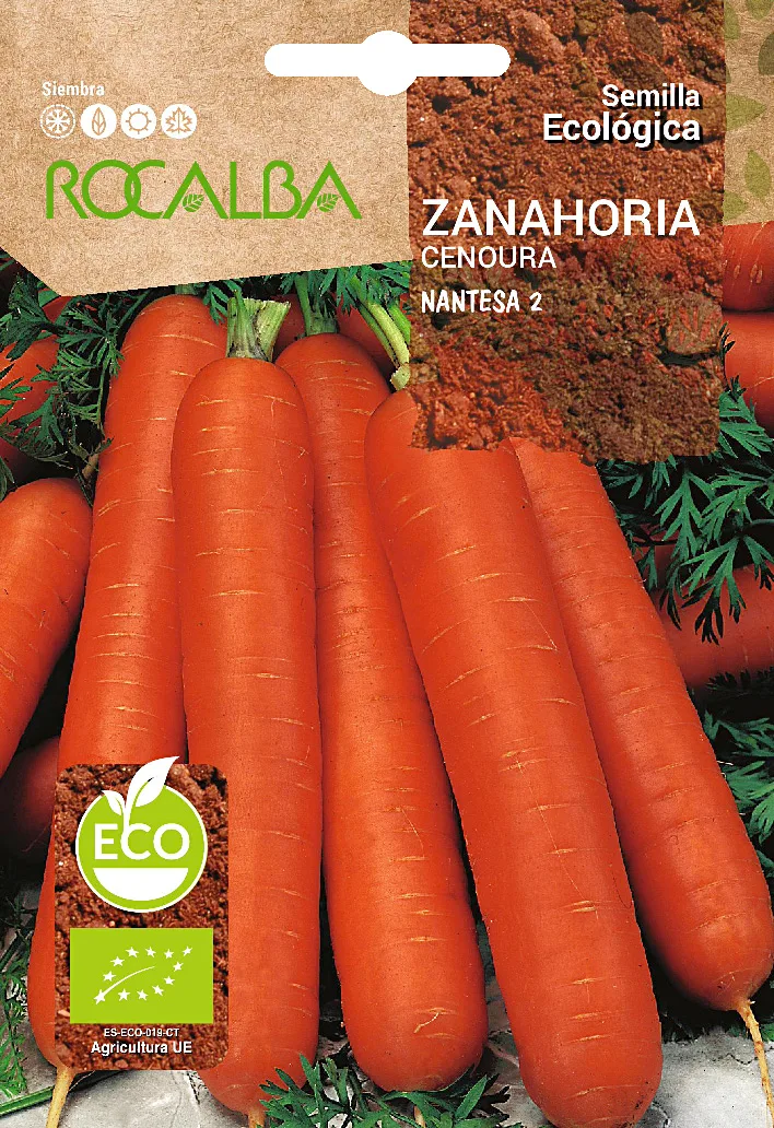 Semilla Ecologica Zanahoria Nantesa 2