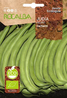 Semilla Ecologica Judia Contender