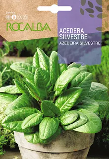 Semilla Acedera Silvestre