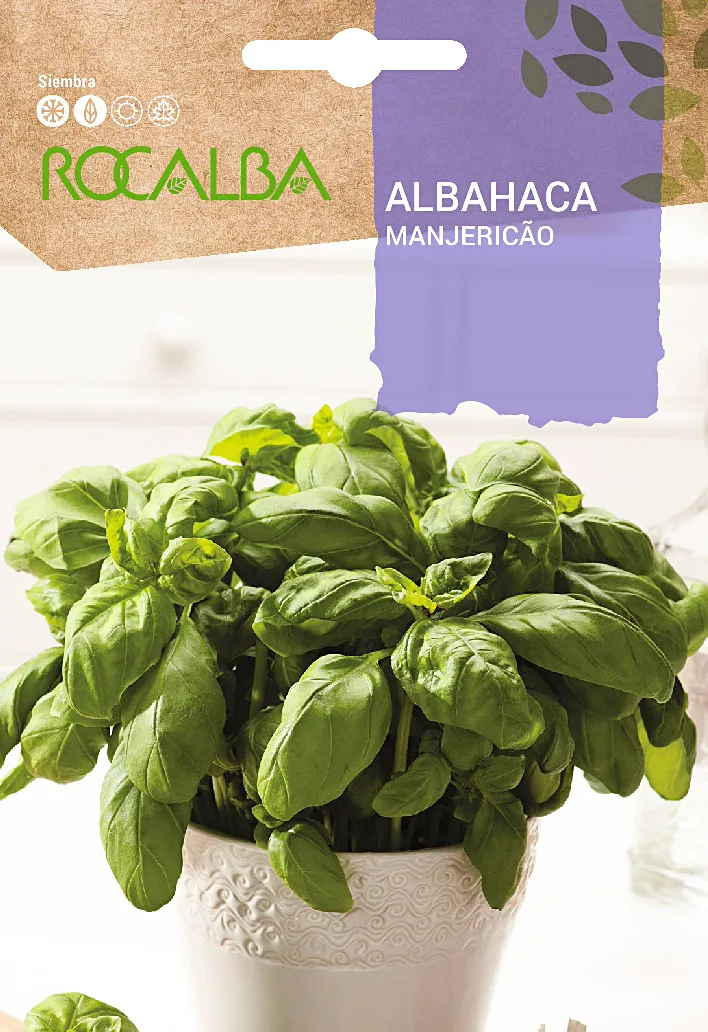 Semilla Albahaca (Basilic Grand Vert)