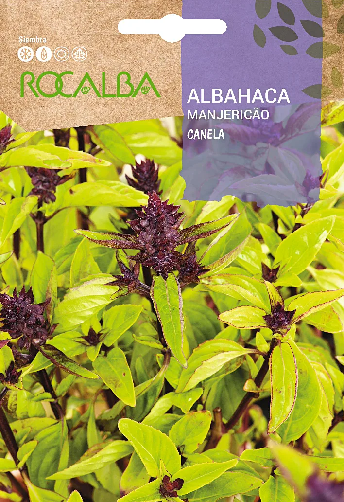 Semilla Albahaca Canela 2 gr. — foto principal