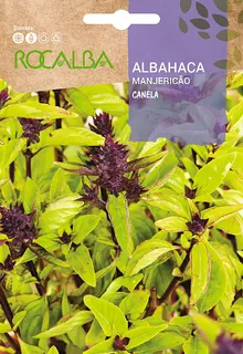 Semilla Albahaca Canela 2 gr.