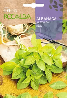 Semilla Albahaca Limon