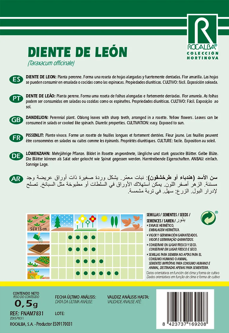 Semilla Diente de Leon — foto 2