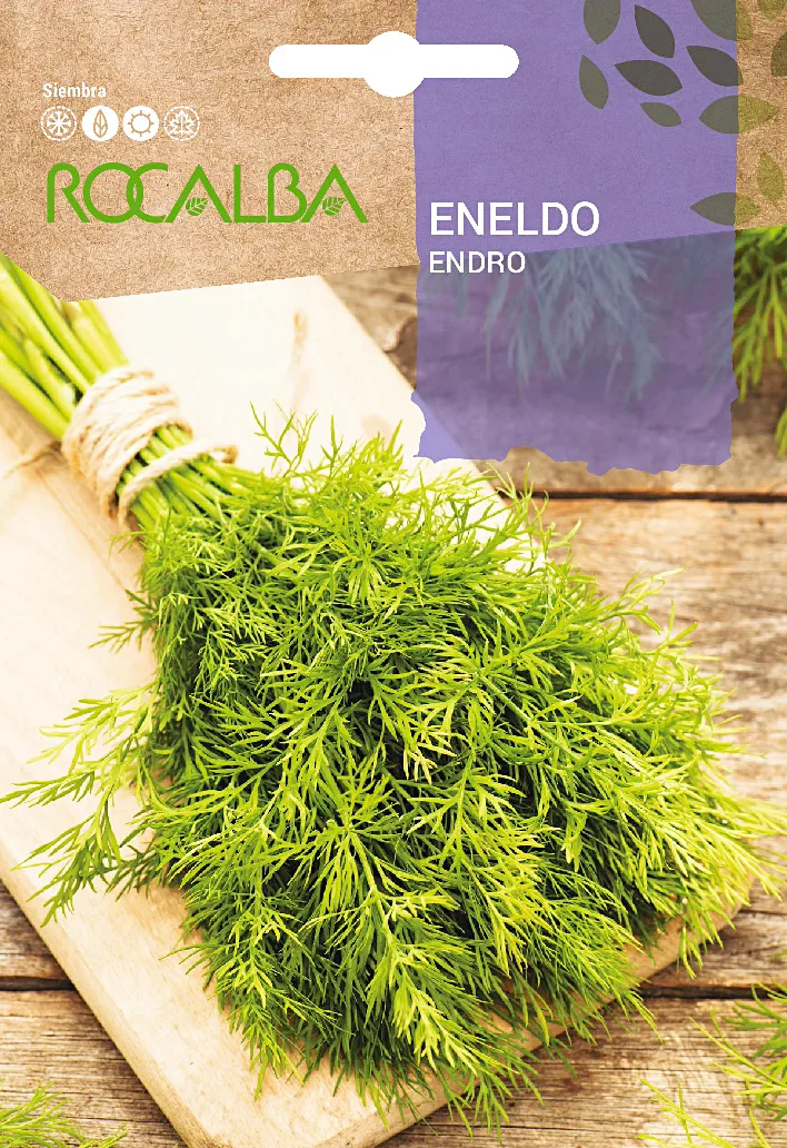 Semilla Eneldo