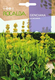 Semilla Genciana