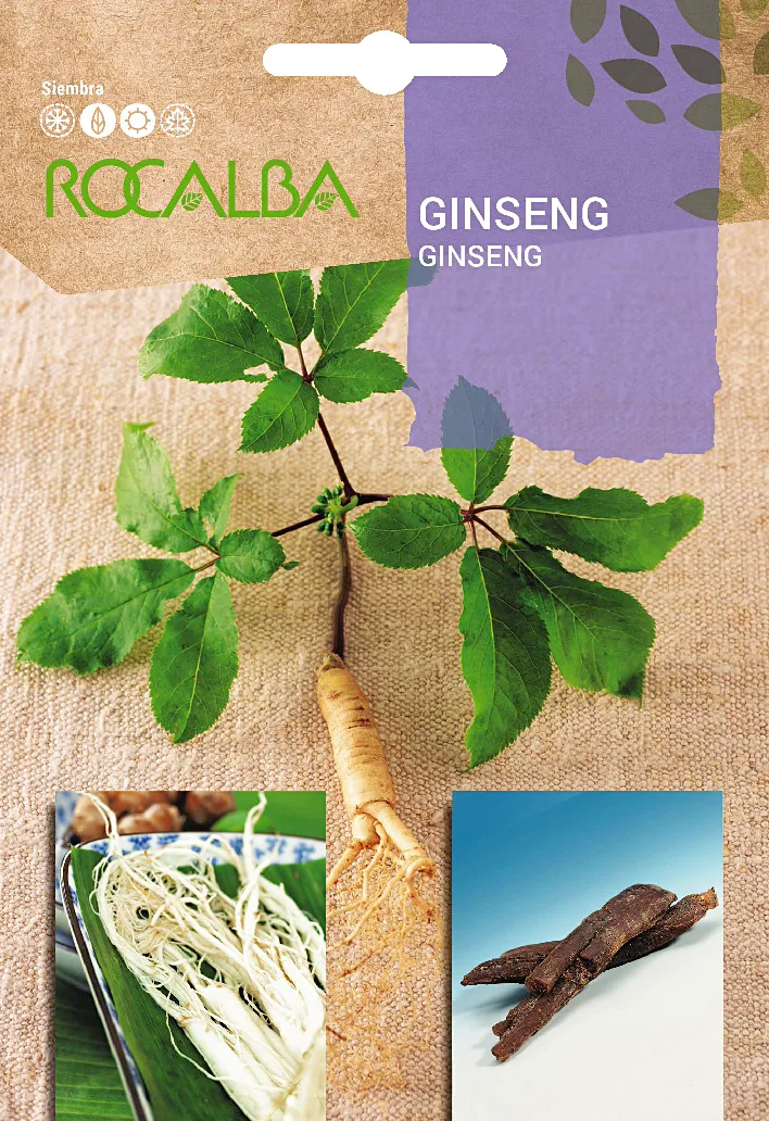 Semilla Ginseng