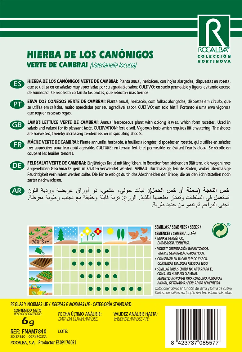 Semilla Hierba de los Canonigos — foto 2