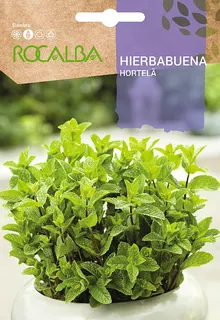 Semilla Hierbabuena
