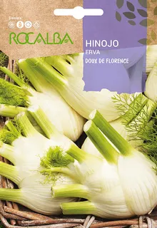 Semilla Hinojo de Florencia