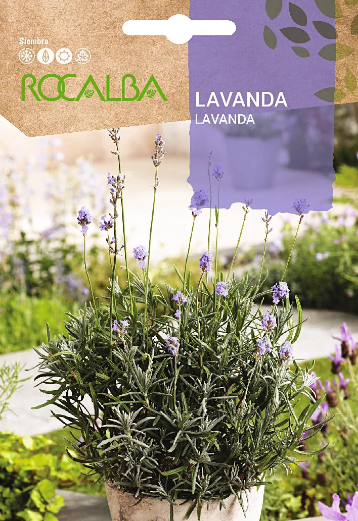 Semilla Lavanda - Espliego
