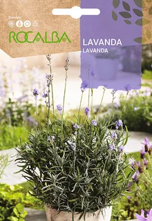 Semilla Lavanda - Espliego