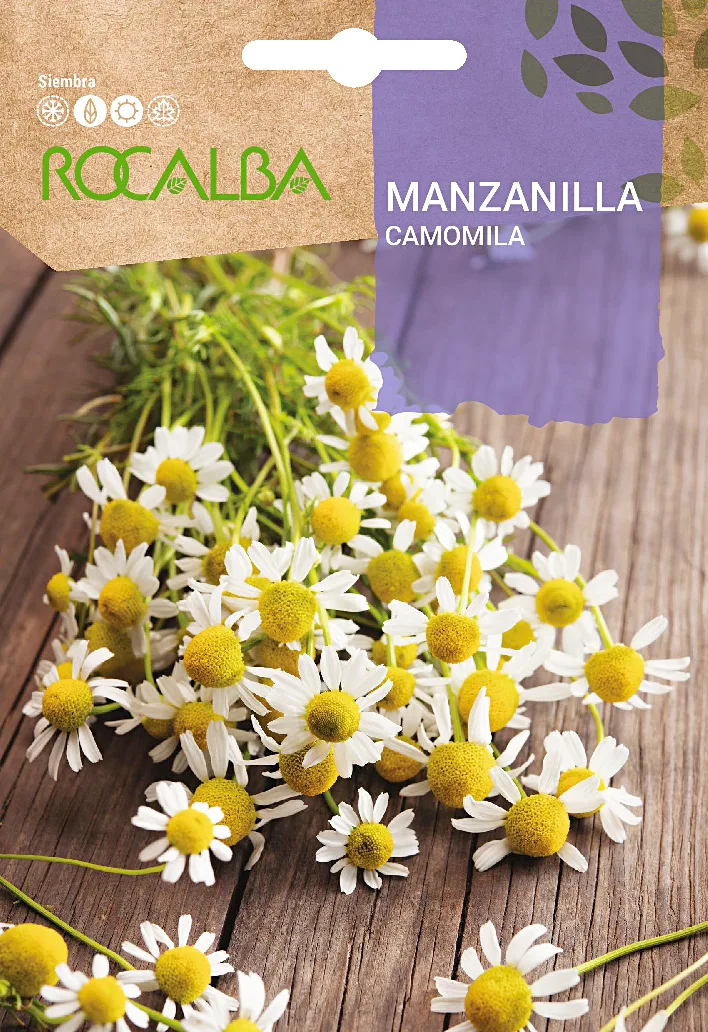 Semilla Manzanilla