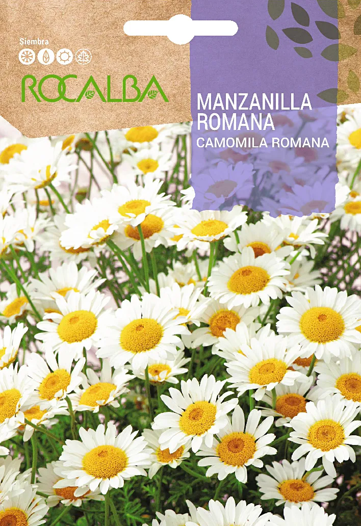 Semilla Manzanilla Romana