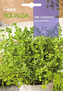 Semilla Mejorana