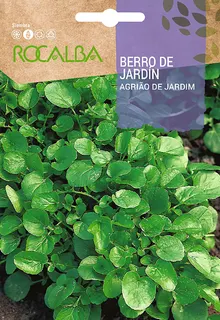 Semilla Berros de Jardin