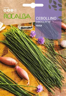 Semilla Cebollino Praga