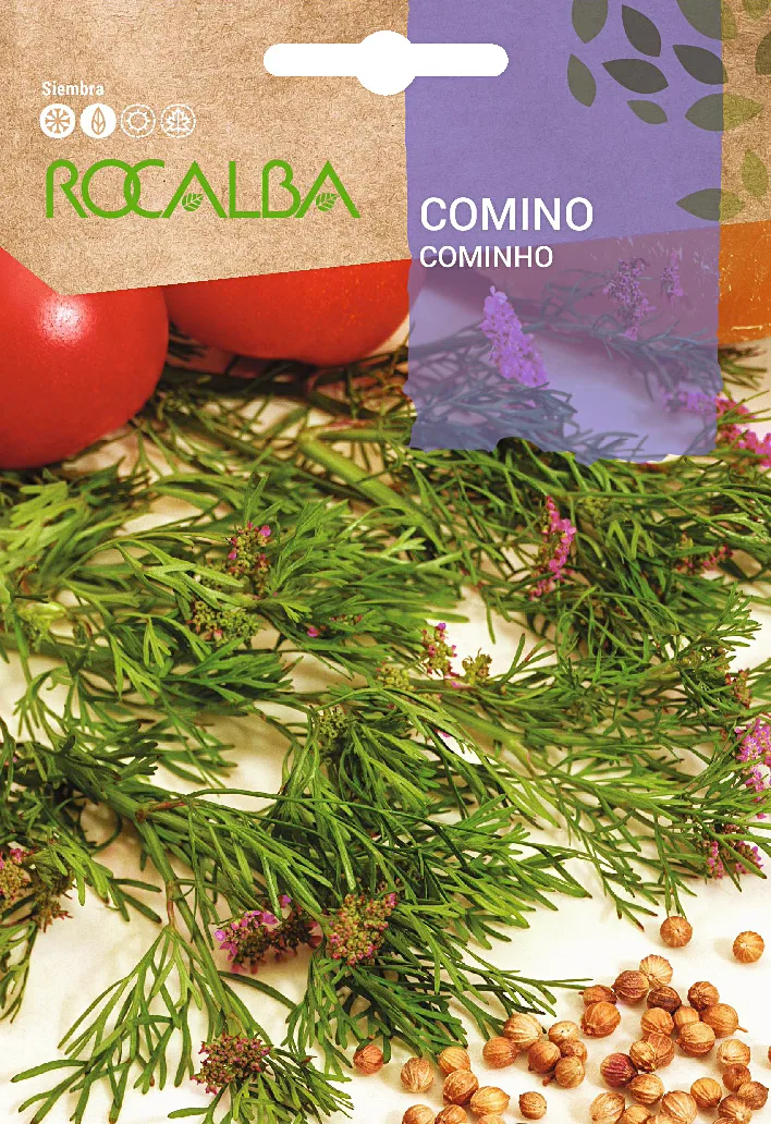 Semilla Comino