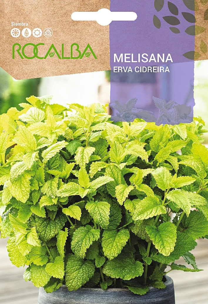 Semilla Melisana