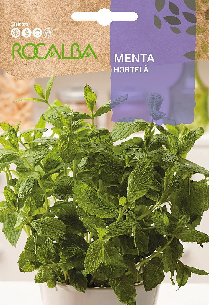 Semilla Menta