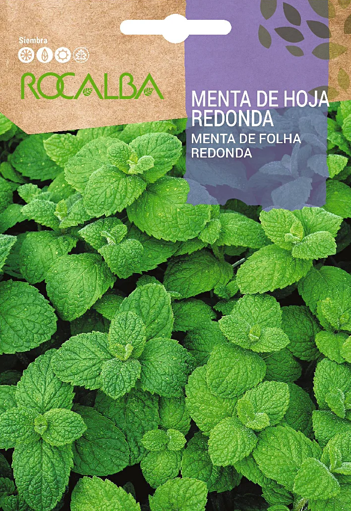 Semilla Menta de Hoja Redonda
