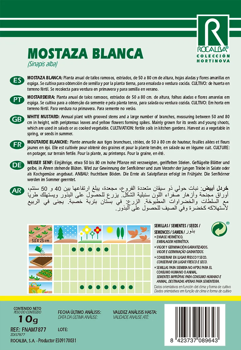 Semilla Mostaza Blanca — foto 2
