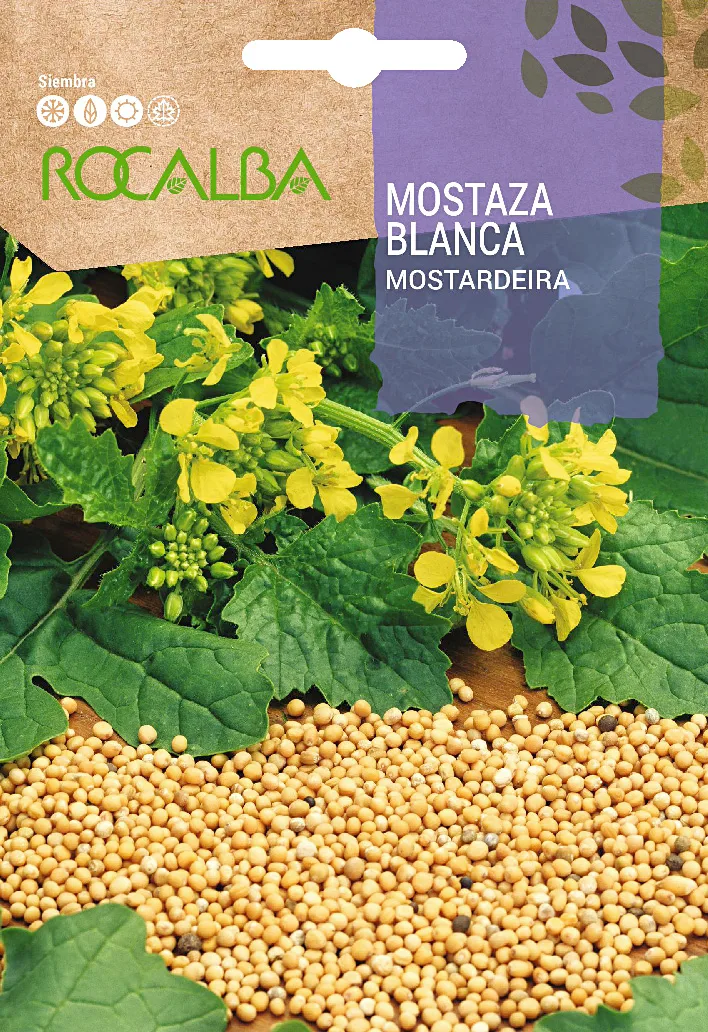 Semilla Mostaza Blanca