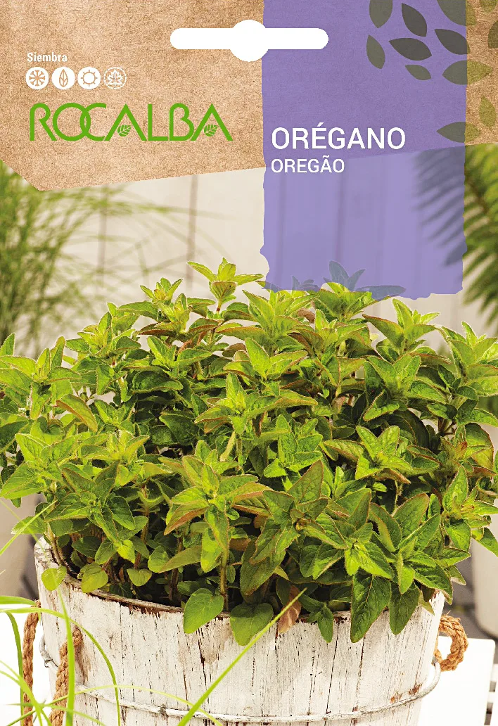 Semilla Oregano