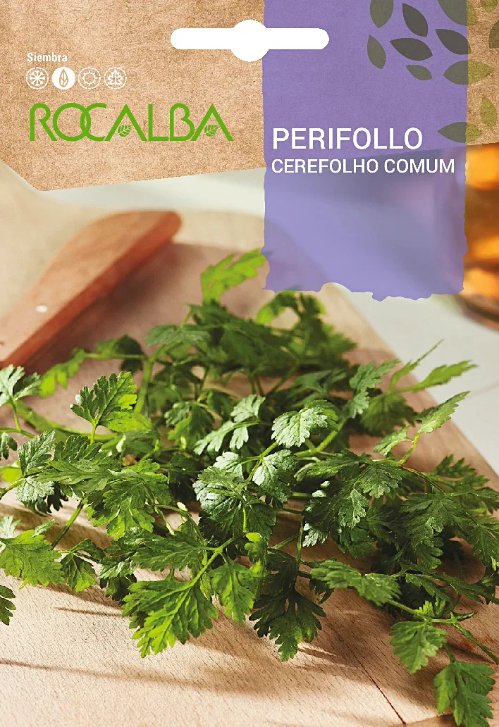 Semilla Perifollo