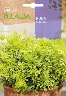 Semilla Ruda