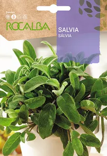 Semilla Salvia