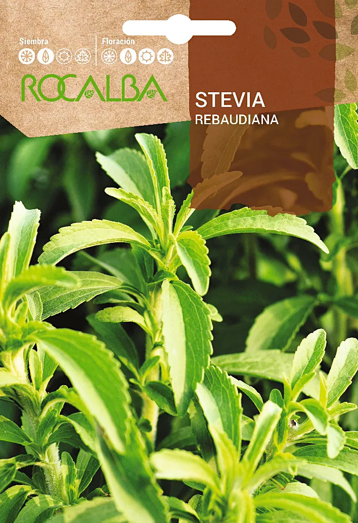 Semilla Stevia Rebaudiana — foto principal
