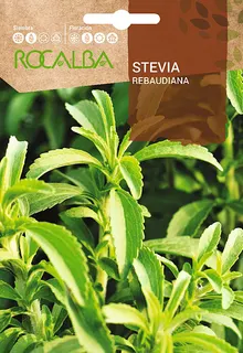 Semilla Stevia Rebaudiana