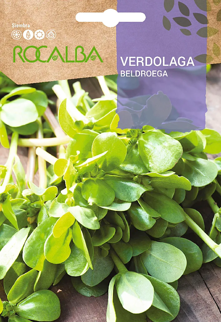 Semilla Verdolaga