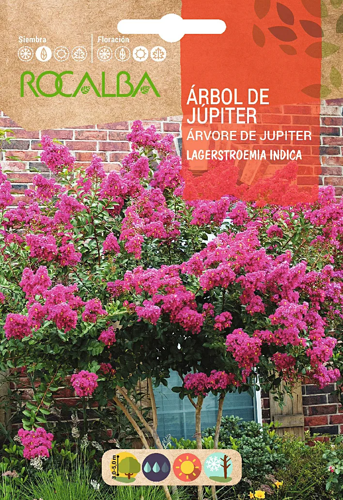 Semilla Arbol de Jupiter -lagerstroemia Indica-
