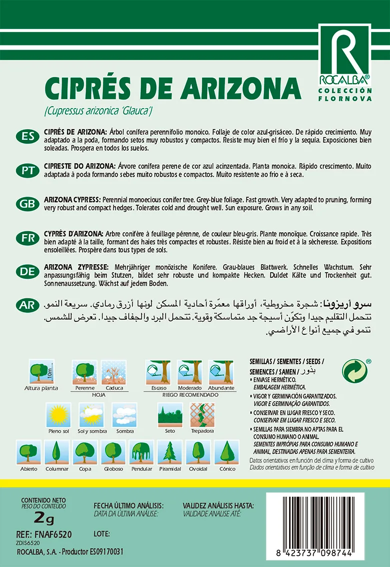 Semilla Cipres de Arizona -Cupressus Arizonica G. — foto 2